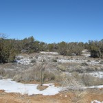 arizona-land-for-sale