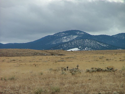 Two parcels in the White Mountains!