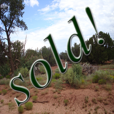 Arizona Land For Sale: 1.07 Acre lot for sale N. of Flagstaff