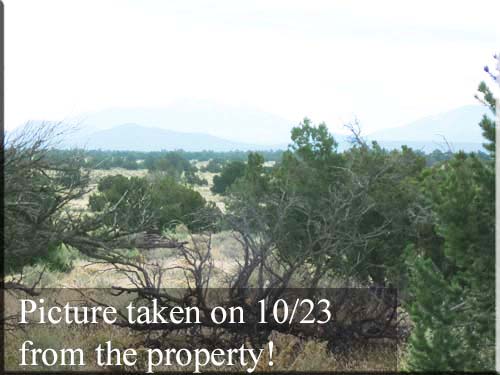 1.1 Acre Lot Near Flagstaff